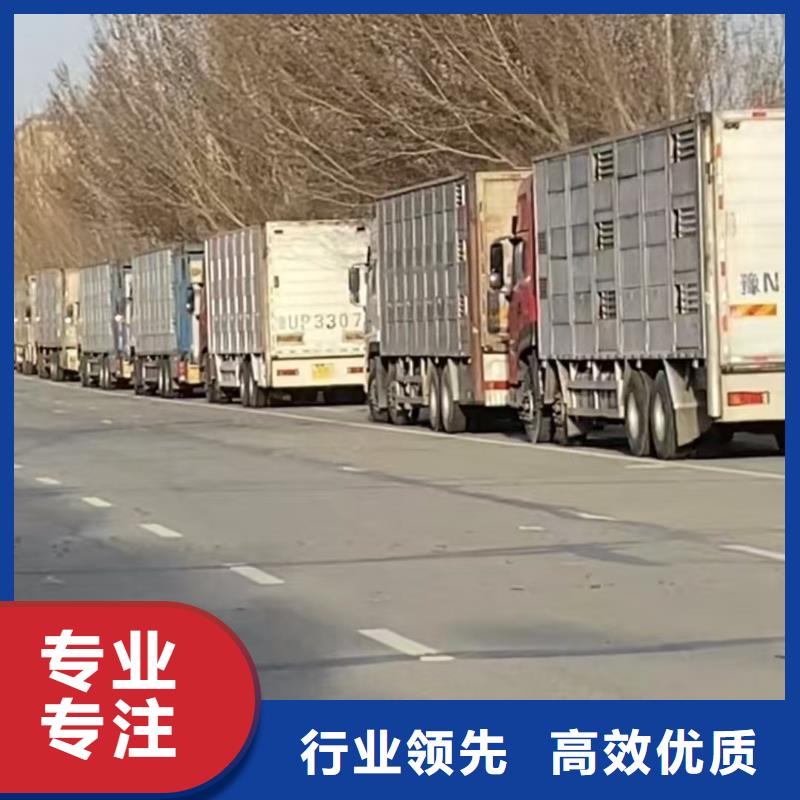 宿迁市到猪笼车运输稳妥可靠