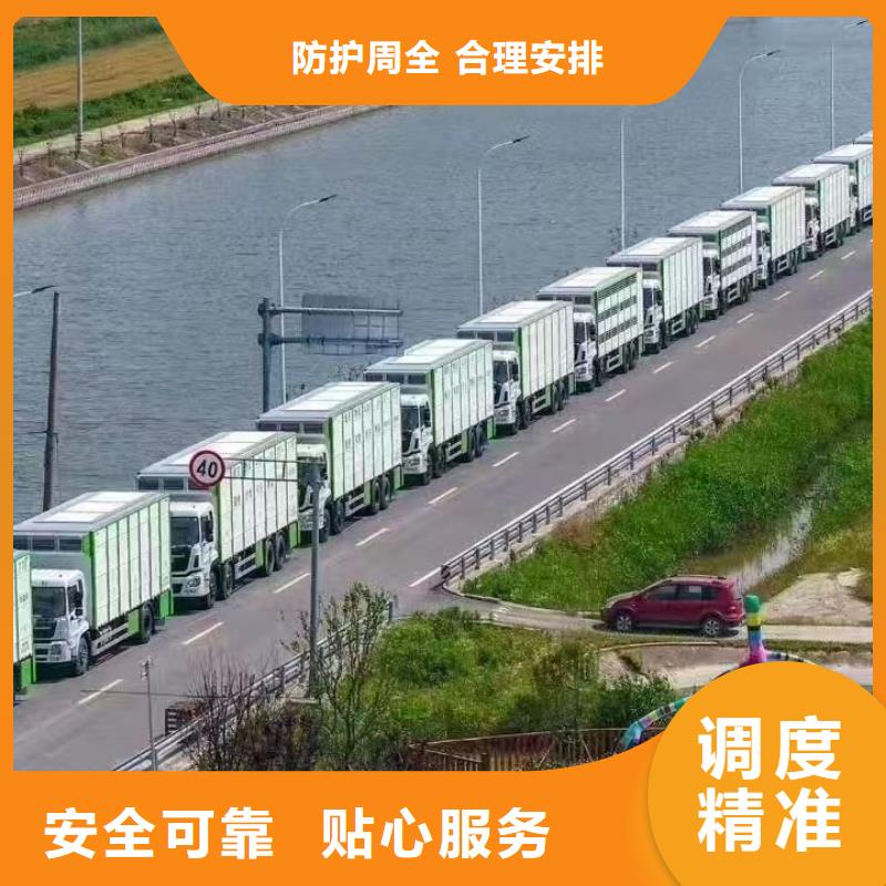 宿迁市泗洪到畜禽运输团队专业