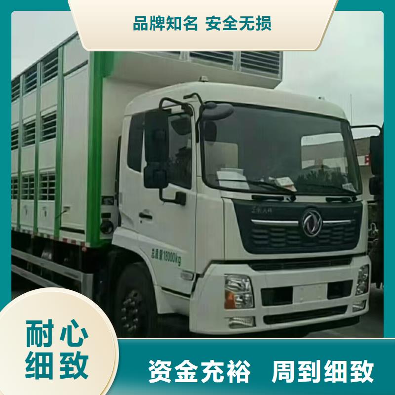 宿迁市泗洪到高栏车肥猪运输稳妥可靠