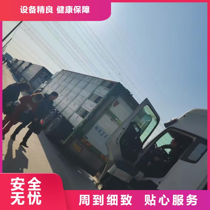 宿迁市泗洪到牛运输专用车稳妥可靠