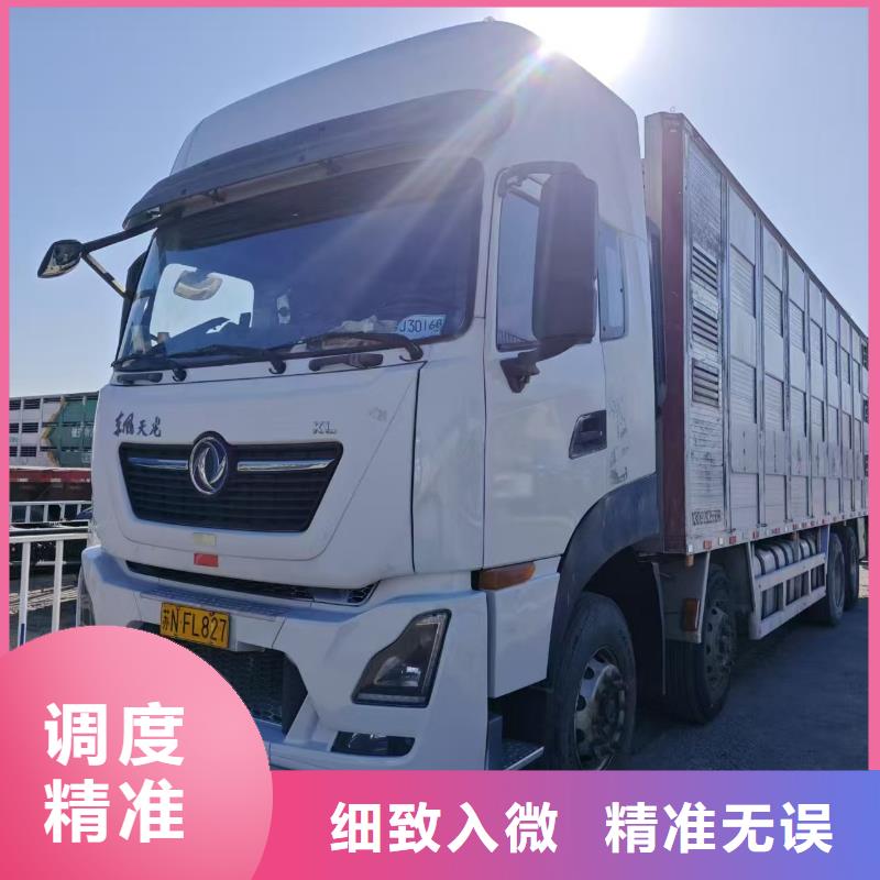 宿迁市沭阳到种猪空调车运输细致入微