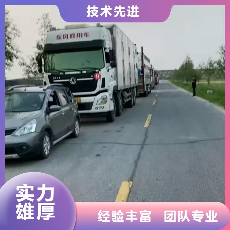 宿迁市泗阳到仔猪运输温柔对待