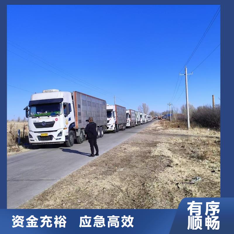 宿迁市沭阳到农牧运输品牌知名