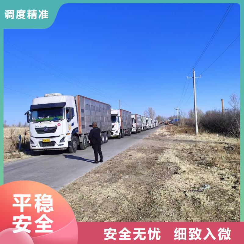 宿迁市泗洪到畜禽运输团队专业