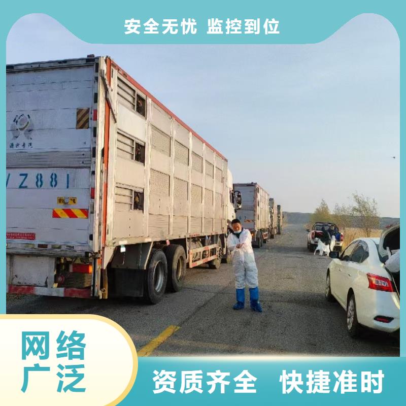 宿迁市泗阳到农牧运输专人负责