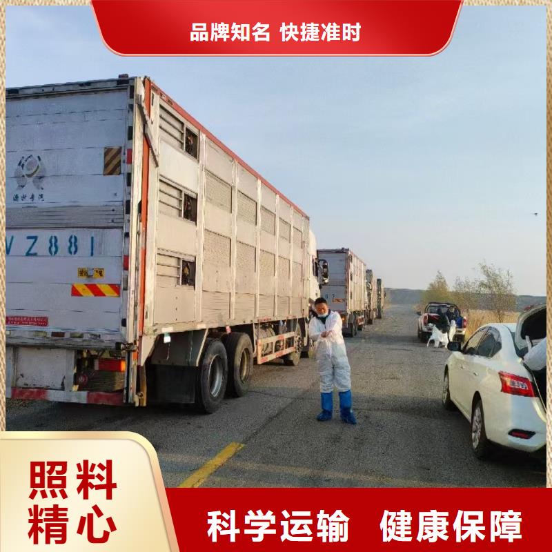 宿迁市沭阳到二育运输服务优质
