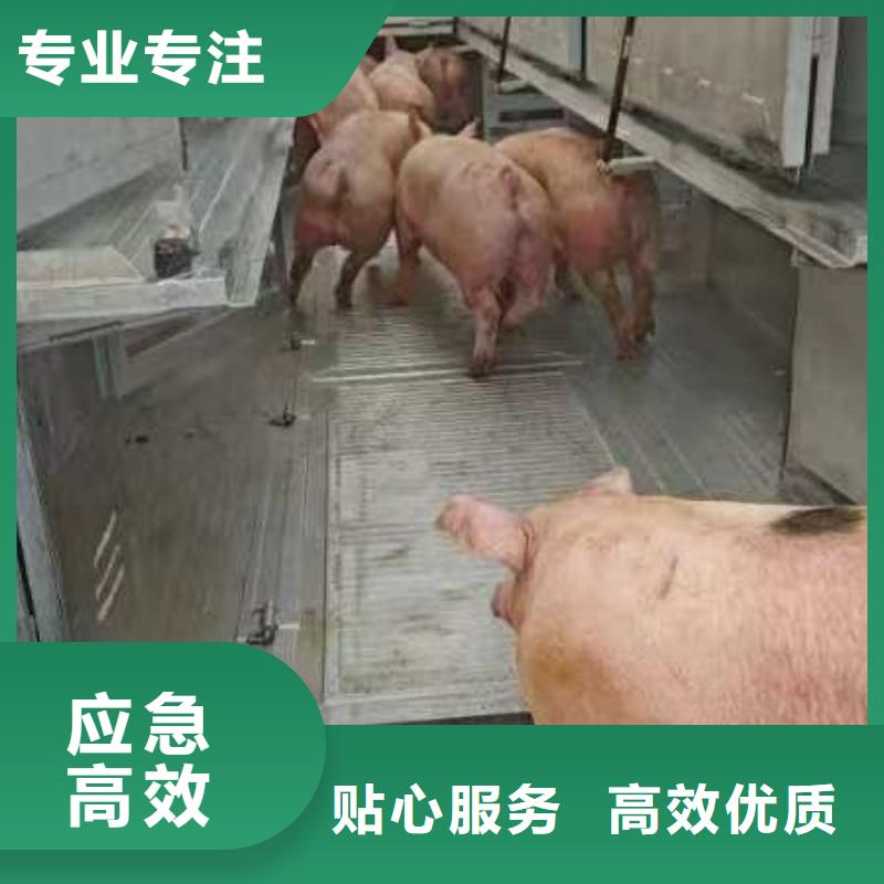 宿迁市沭阳到农牧运输资质齐全