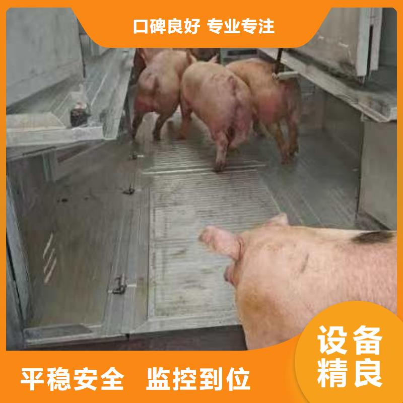宿迁市沭阳到种猪空调车运输细致入微