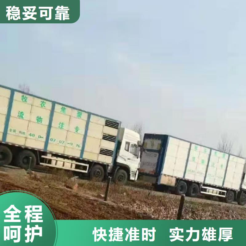 宿迁市到猪只运输专用车贴心服务