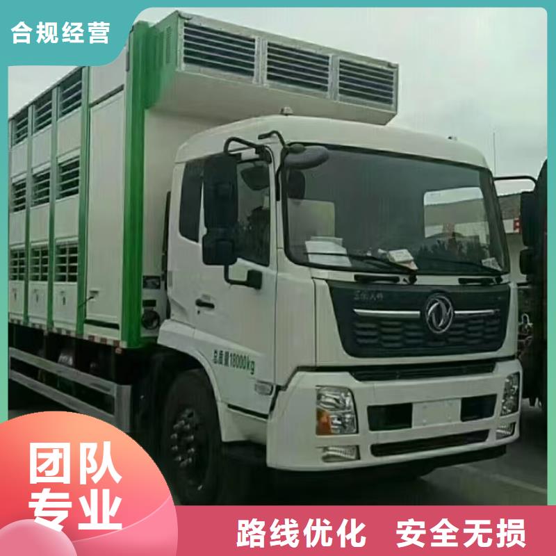 宿迁市泗洪到高栏车肥猪运输稳妥可靠