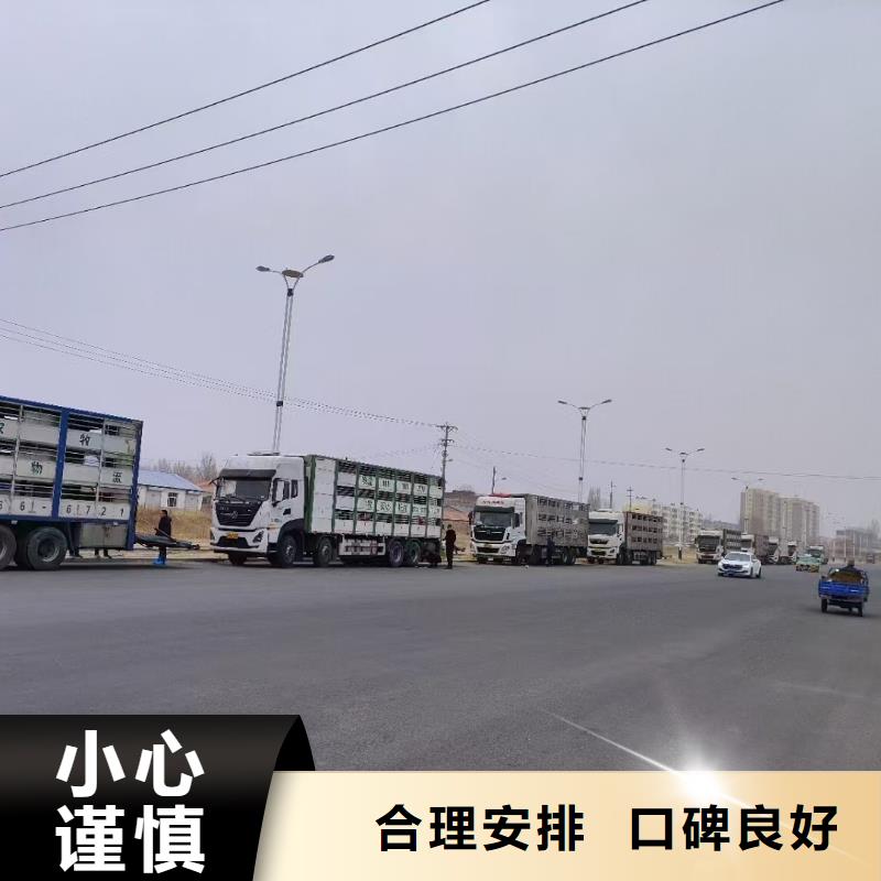 宿迁市到猪笼车运输稳妥可靠