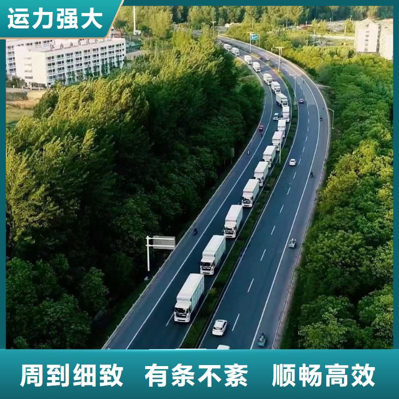 宿迁市泗洪到畜禽运输团队专业