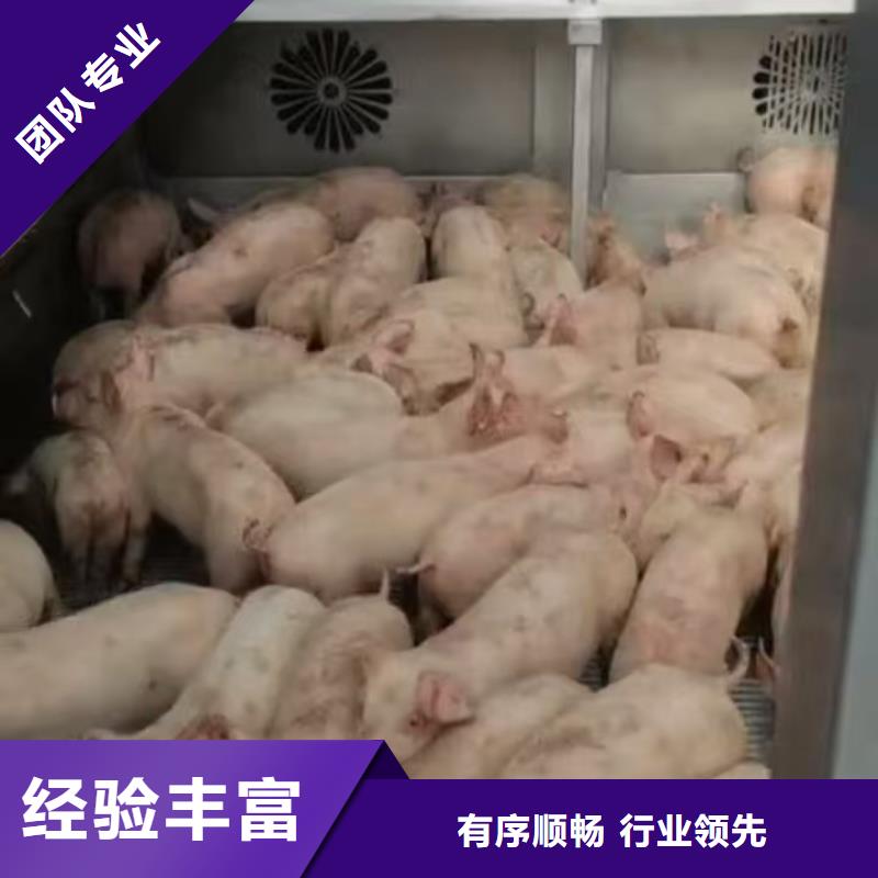 宿迁市沭阳到二育运输服务优质