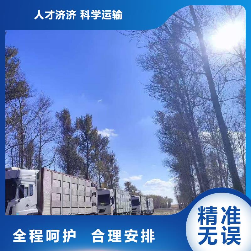 宿迁市沭阳到二育运输服务优质