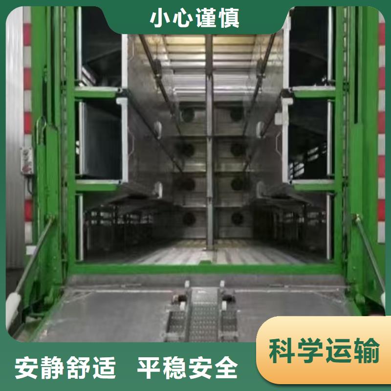宿迁市到猪只运输专用车准时准点