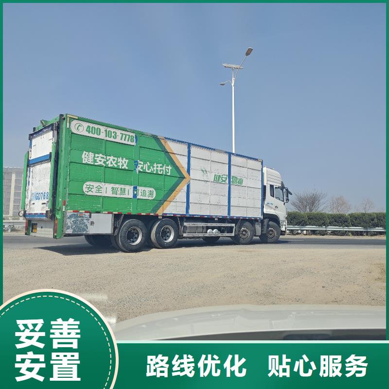 宿迁市到猪只运输专用车贴心服务