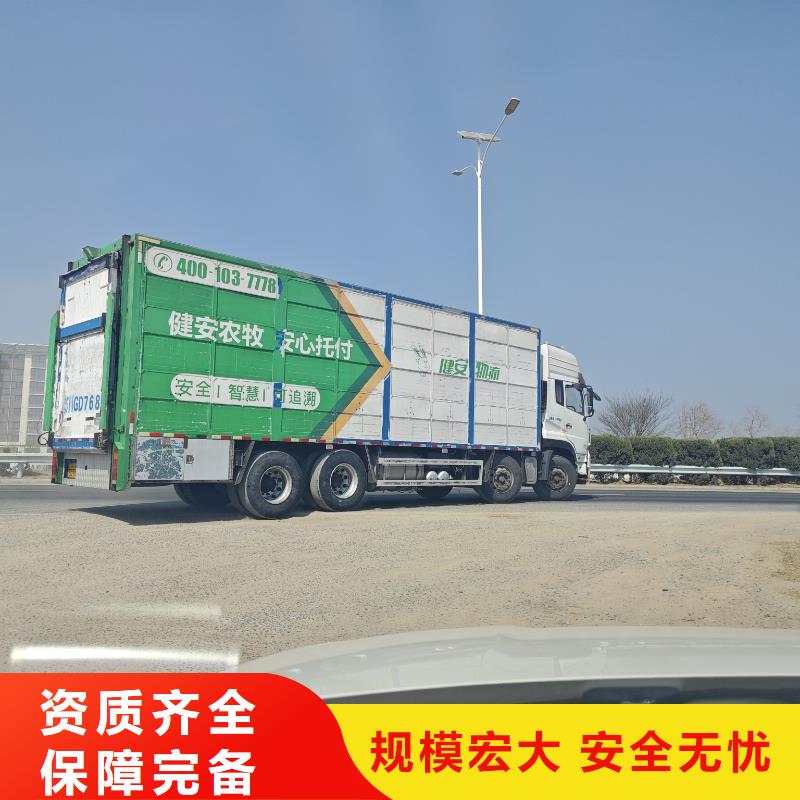 宿迁市泗洪到畜禽运输团队专业