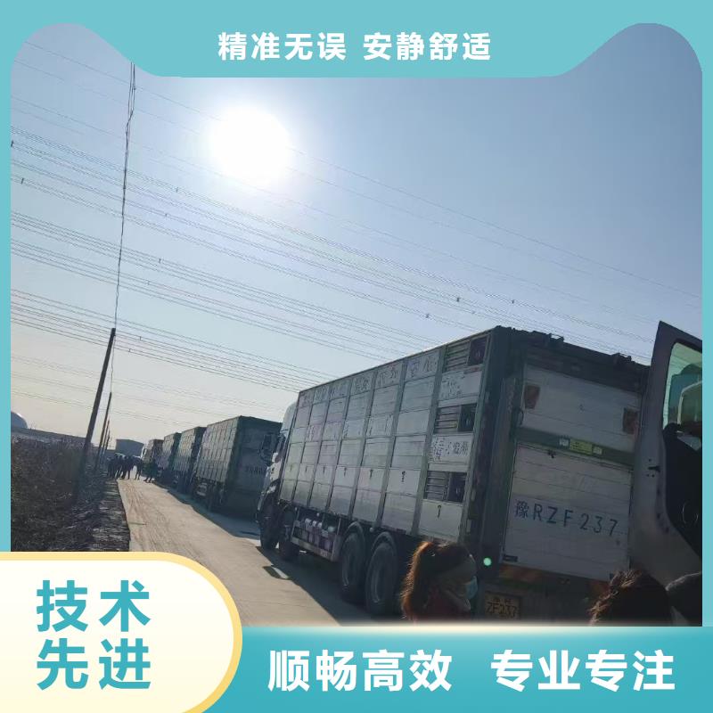宿迁市沭阳到农牧运输资质齐全