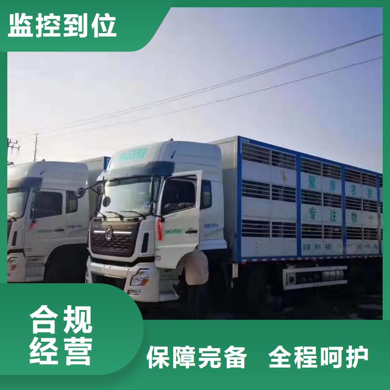 宿迁市泗洪到畜禽运输团队专业