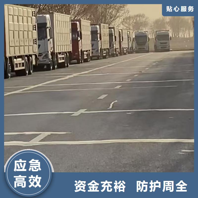 宿迁市沭阳到种猪空调车运输细致入微