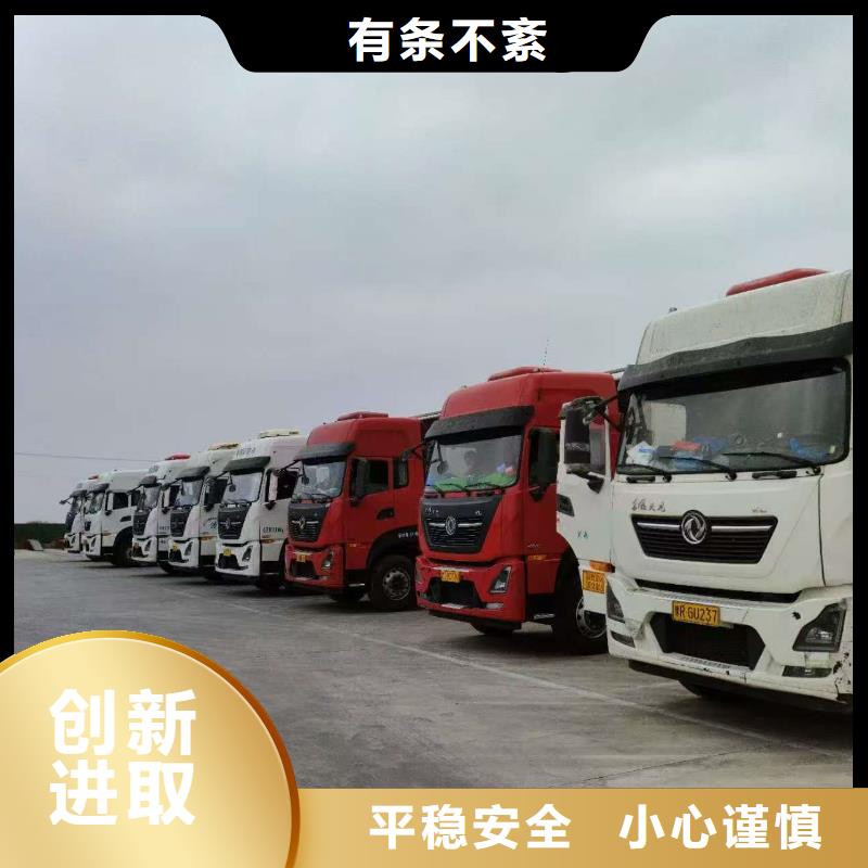 宿迁市泗阳到羊运输专用车保障有力