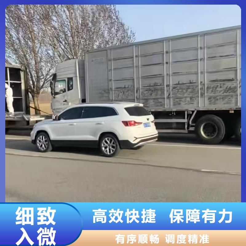 宿迁市到猪笼车运输稳妥可靠