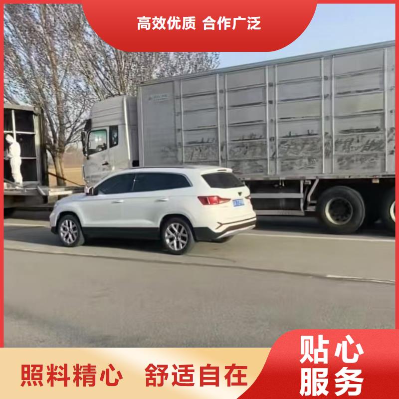 宿迁市泗洪到畜禽运输团队专业