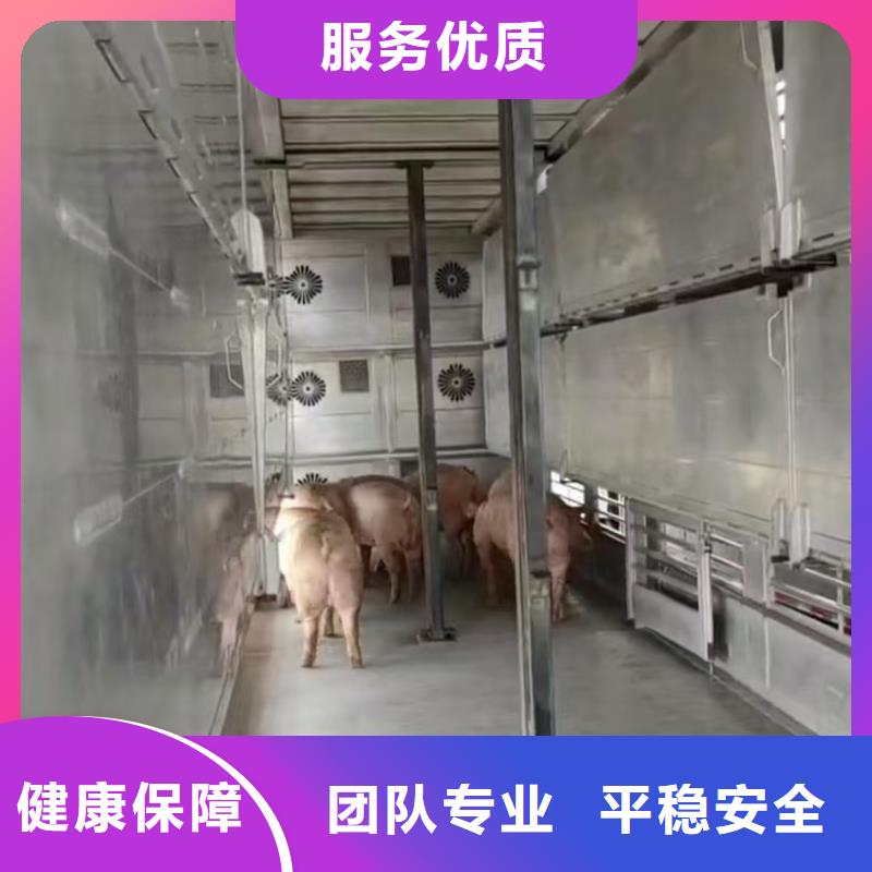 宿迁市沭阳到种猪空调车运输细致入微