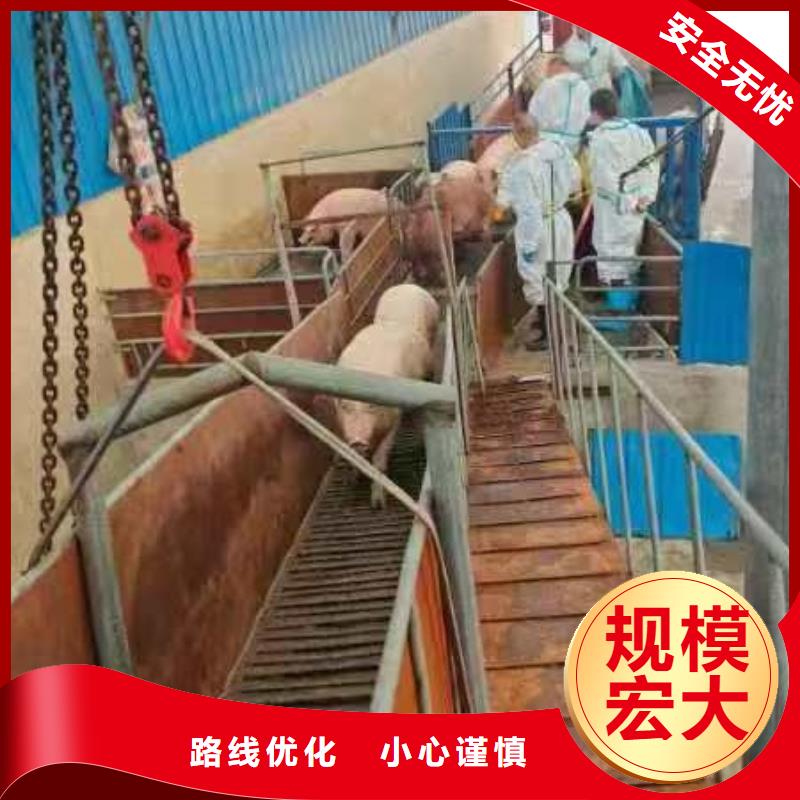 宿迁到空调车运输经验丰富