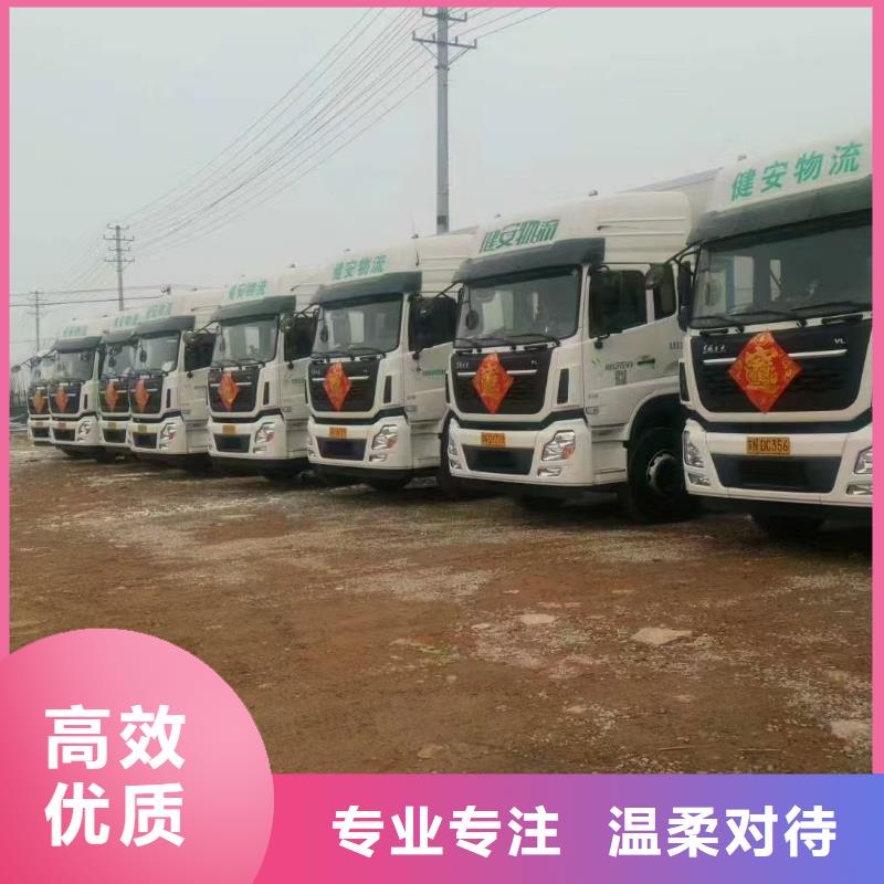 宿迁市沭阳到种猪空调车运输细致入微