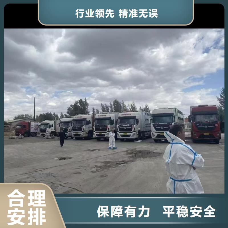 宿迁市到猪只运输专用车准时准点