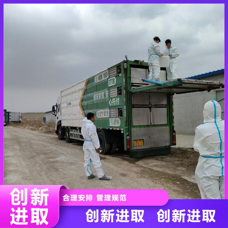 宿迁市到猪只运输专用车贴心服务