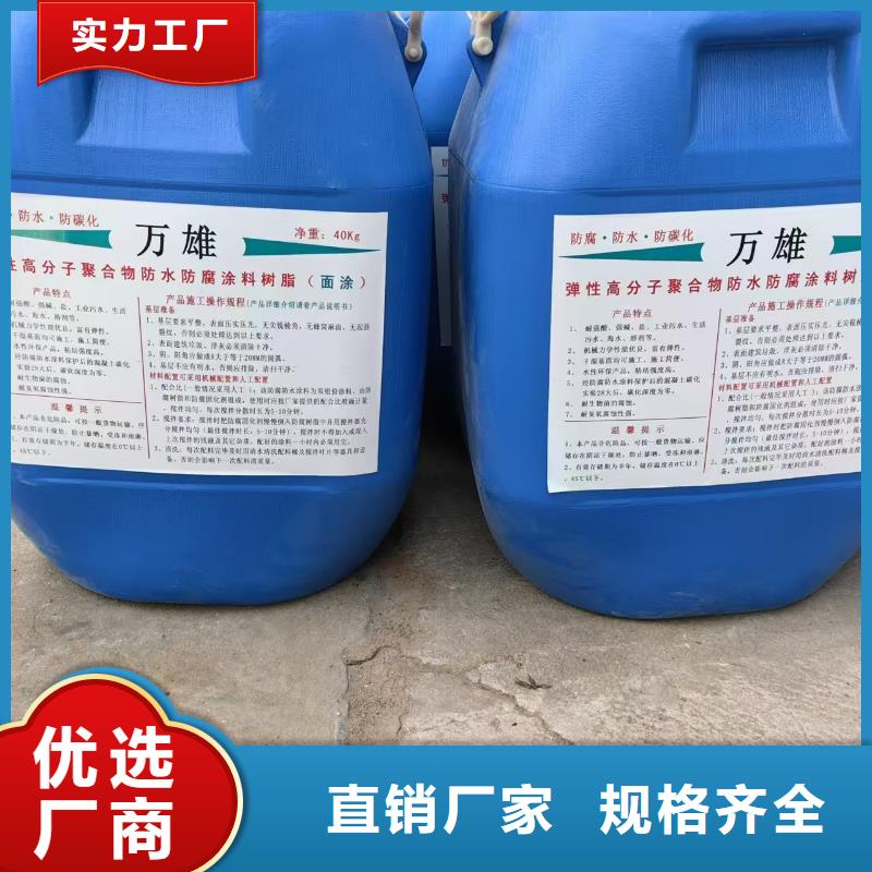 乙烯基酯厚浆型防腐防水涂料用心做好细节实体PEO弹性聚氨酯耐酸碱耐紫外线防腐防水涂料