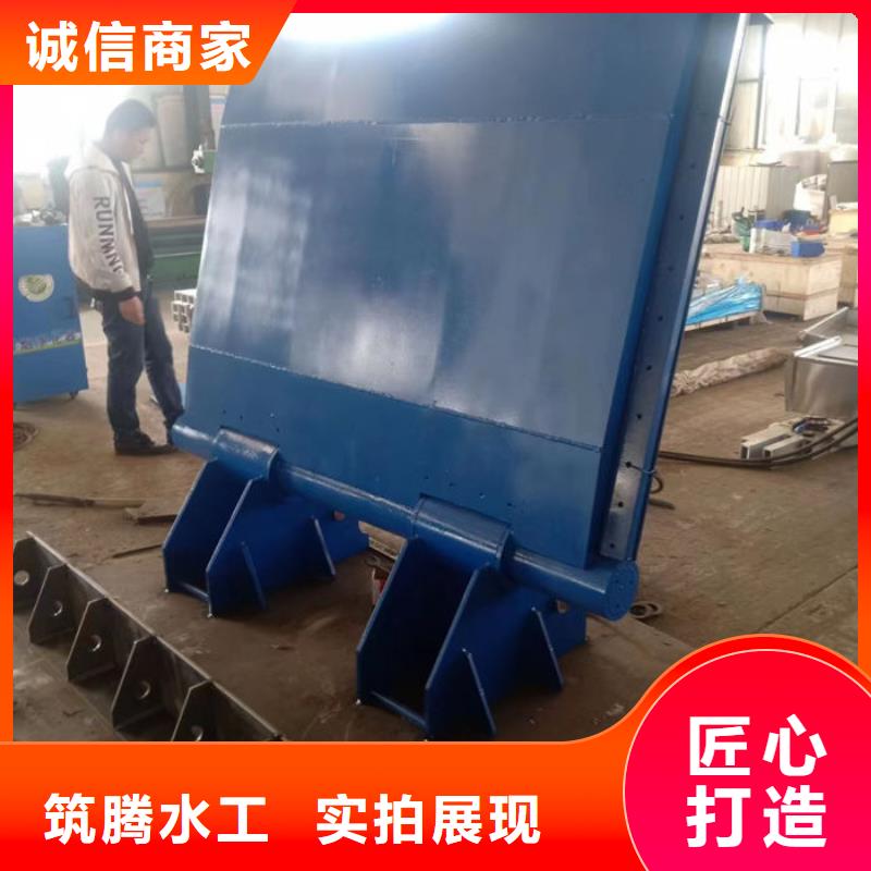 翻板闸门售后无忧