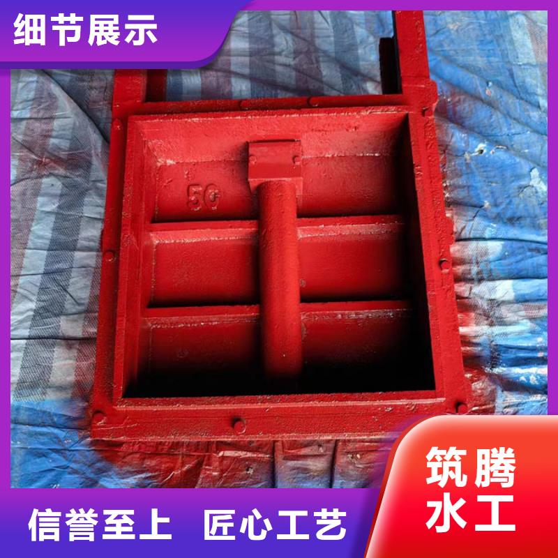 镶铜铸铁闸门源头厂家