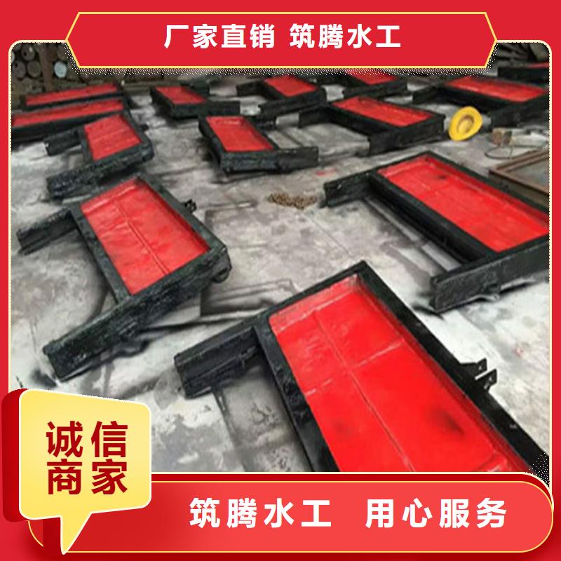 PZJY一体式铸铁闸门真诚合作