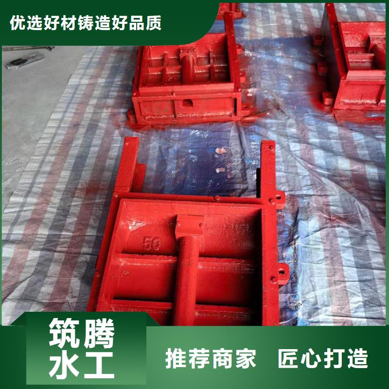 铸铁方闸门厂家直营