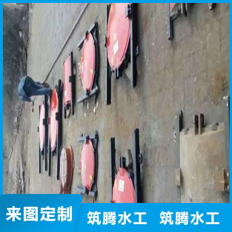 平板铸铁闸门真诚合作