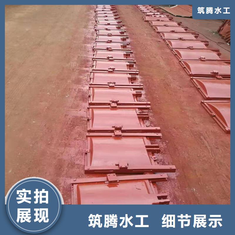 法兰式铸铁圆闸门用心经营