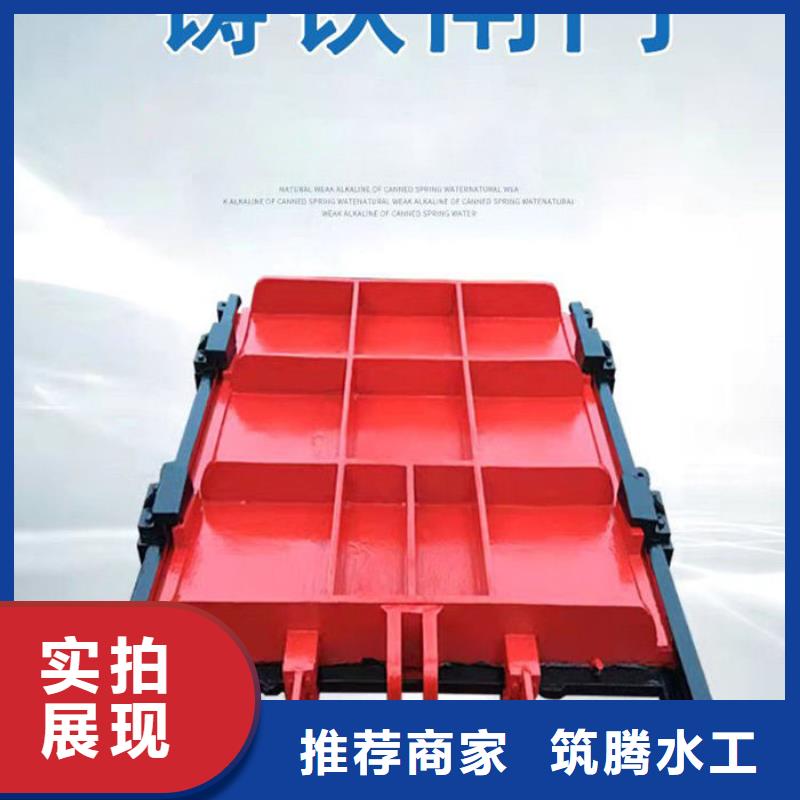 镶铜铸铁闸门源头厂家